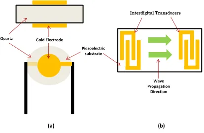 Figure 2.7: Acoustic wave microsensors (a) a Bulk Acoustic Wave (BAW) microsensor and (b) a Surface Acoustic Wave (SAW) Microsensor