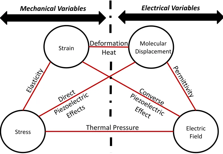 Figure 2.7: Concept of piezoelectricity – on application of an alternating electric field a crystal with dimensions l, b and h, changes to l´, b´,  h´  due to the generation of stress on its faces