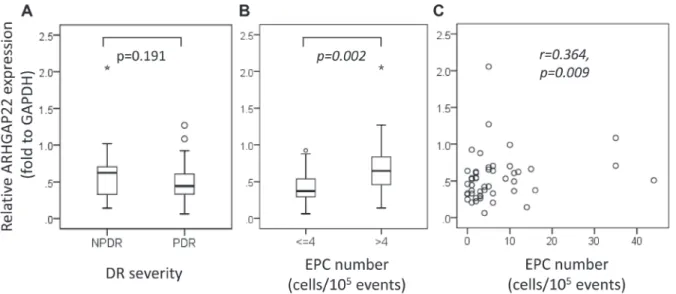 Figure 2:  Rho GTPase activating protein 22 (ARHGAP22) expression stratified by (A) diabetic retinopathy severity, (B) number of  endothelial progenitor cells (EPCs) (≤ 4 vs