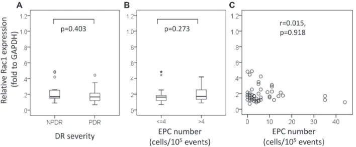 Figure 3:  Ras-related C3 botulinum toxin substrate 1 (Rac1) expression stratified by (A) diabetic retinopathy severity, (B) number  of endothelial progenitor cells (EPCs) (≤ 4 vs
