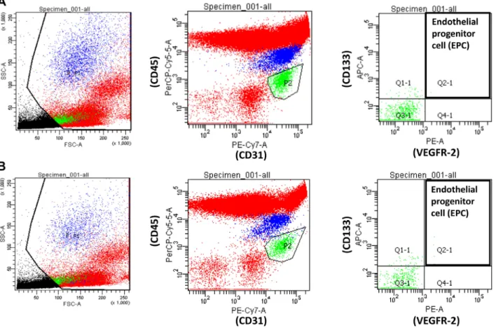Figure 4:  Representative data from a patient with (A) non-proliferative diabetic retinopathy (DR) and (B) proliferative DR for identification  and quantification of circulating endothelial progenitor cells by flow cytometric analysis of staining for CD31 
