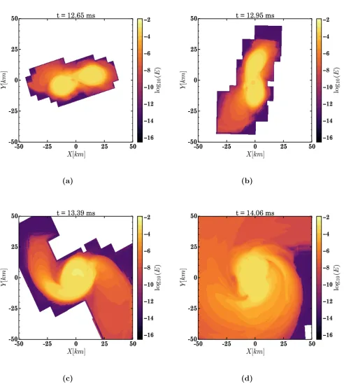 FIG. 3: Density map of neutron star model at various stages of evolution after the