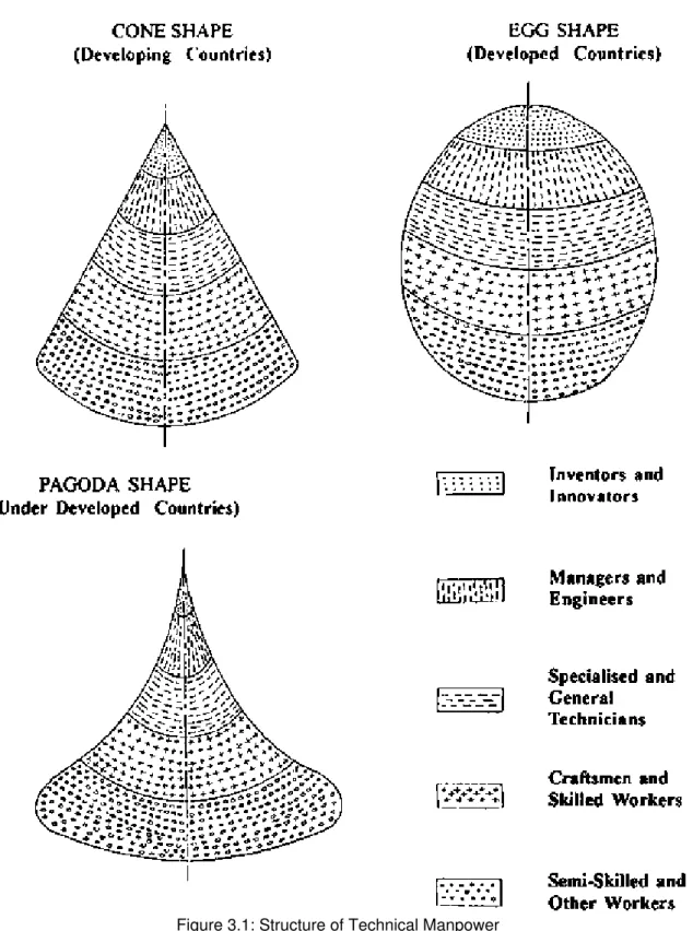 Figure 3.1: Structure of Technical Manpower