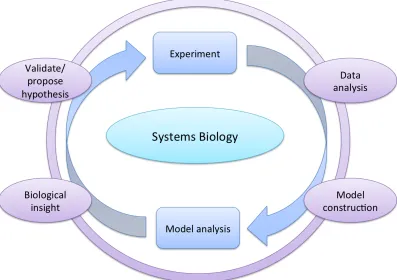 Figure 1.4: Systems Biology - an iterative cycle of data collection (experiment), dataanalysis, model construction, model analysis/reﬁnement combined with biologicalinsight to validate or propose a hypothesis, which can be used to inform furtherexperiments.
