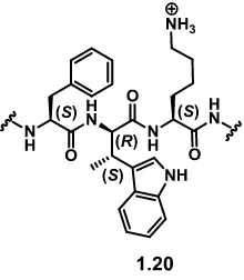 Figure 25 Newman projection of (1.20) β-methylated analogue of L-363,301
