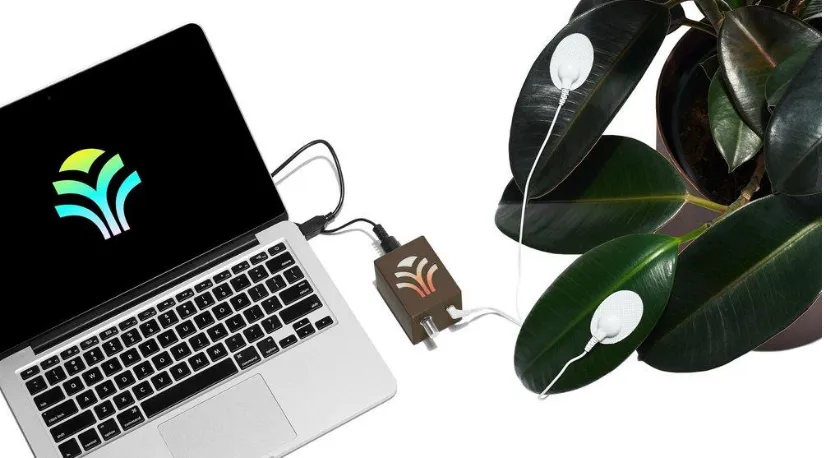 Figure 2.10: MIDI Sprout interfaced with a MacBook Pro via MIDI over USB and electrodes placed on a plant as input.11