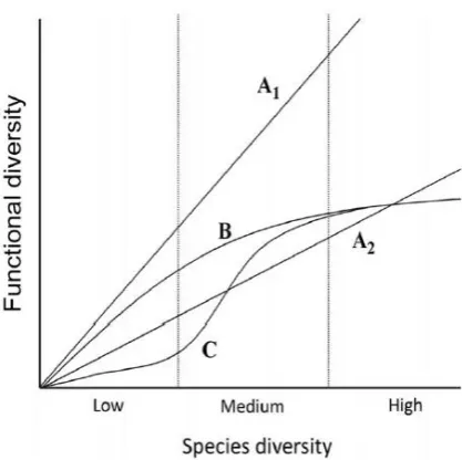 Figure 4. Schematic of possible relationships between functional and species diversity