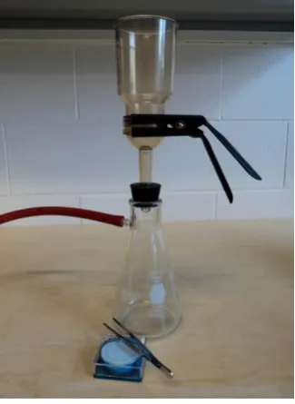 Figure 10. Buchner filter showing a Buchner funnel (Nalgene®, Thermo SCIENTIFIC, Rochester, NY, U.S.A.) and the waste collection container (KIMAX®, KIMBLE, Vineland, NJ, U.S.A.)