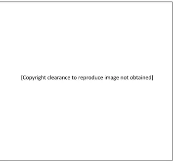 Figure 2-9 The distillation simulation package (Rafael et al., 2007). 