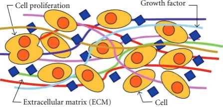 Figure 1: Schematic of the cellular environment.