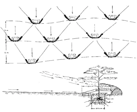 Figure 4.6 Herring-bone technique for soil preparation. 