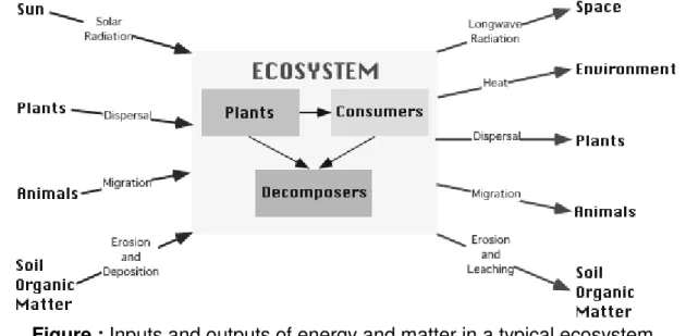 Figure : Inputs and outputs of energy and matter in a typical ecosystem. 