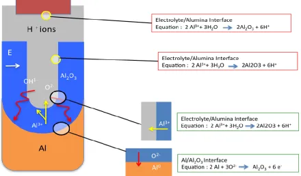 Figure 6. Schematic of ion movement during pore formation. 