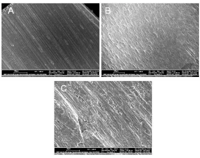 Figure 3. Field emission scanning electron microscopy images of annealed and non-annealed Al substrate