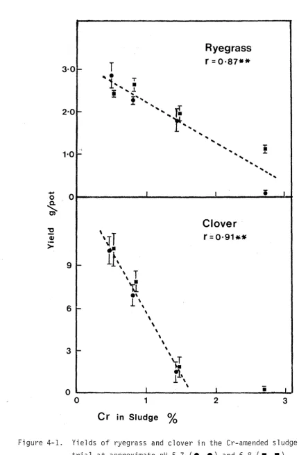 Figure 4-1.Yields of ryegrass and clover in the Cr-amended sludge pot