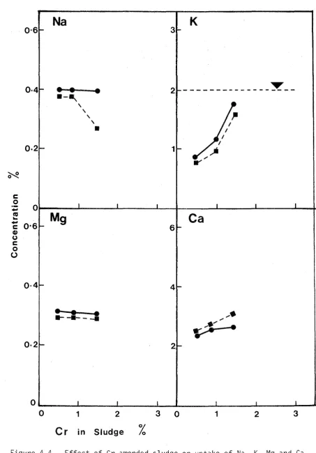 Figure 4-4.Effect of Cr-amended sludge on uptake of Na, K, Mg and Ca