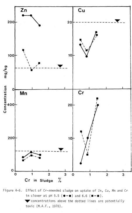 Figure 4-6.Effect of Cr-amended sludge on uptake of Zn, Cu, Mn and Cr