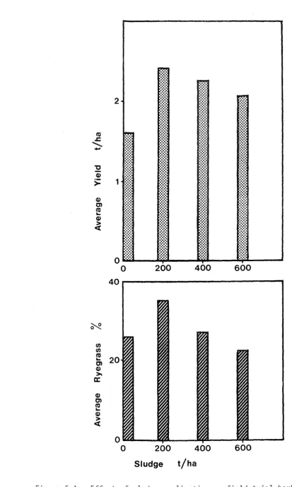Figure 5-1.Effect of sludge application on field trial herbage yield.