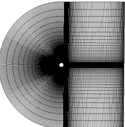Figure A.3. C-Type Grid