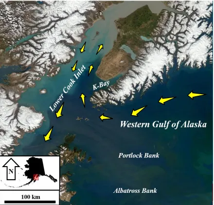 Figure 1.1 Labeled satellite image of Cook Inlet and Western Gulf of AK (NASA).Yellow arrows indicate general current circulation from Gulf of Alaska into lower Cook Inlet along the east side, moving counterclockwise up the inlet before exiting out Sheliko