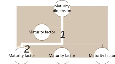 Figure 5 – A twofold design problem: (1) selection of an appropriate maturity factor for optimization and (2) optimization of the PD process as maturity factor in specific