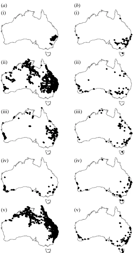 Figure 1. Distribution of release locations across Australiafor ﬁve species of dung beetle, each released at more than100 locations