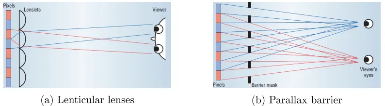 Figure 5: Auto stereoscopic display options [23]