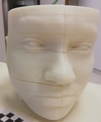 Figure 14: The 3D printed phantom
