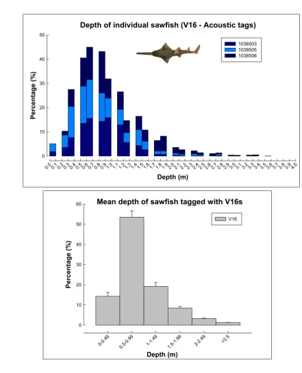 Figure 9 Depth utilisation of 1+ (one year old) Freshwater Sawfish (Pristis microdon) 