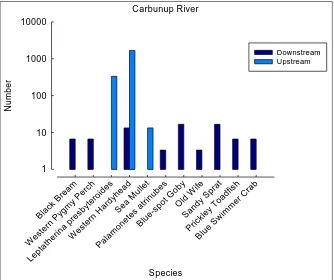 Figure 10: Scaled numbers (log scale) and direction of movement of fish and decapods captured at the mouth of the Carbunup River