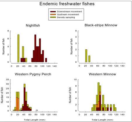 Figure 14: Length-frequency histograms of the freshwater endemic fishes captured in Buayanyup River