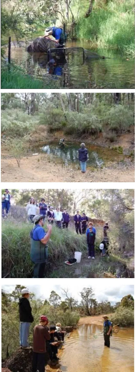 Figure 2:   Sampling images from the survey in November 2008.  N.B. the year eight science students from the Naturaliste College that were involved in the Buayanyup River survey with the view to undertaking a breeding program of their local freshwater fish