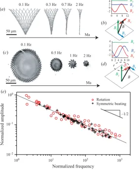 Figure 2. (Colour online) Tip amplitude and mobilized length decrease as the driving(oscillations at four diﬀerent frequencies