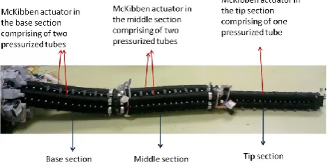 Figure 2. Picture of Octarm VI with sections and actuators marked.