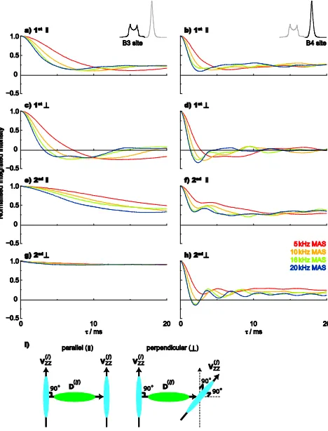 Fig. 5 Simulated (14.1 T) spin-echo dephasing curves for a pair ofdipolar-coupled (|d| = 500 Hz)11B nuclei with the same isotropic