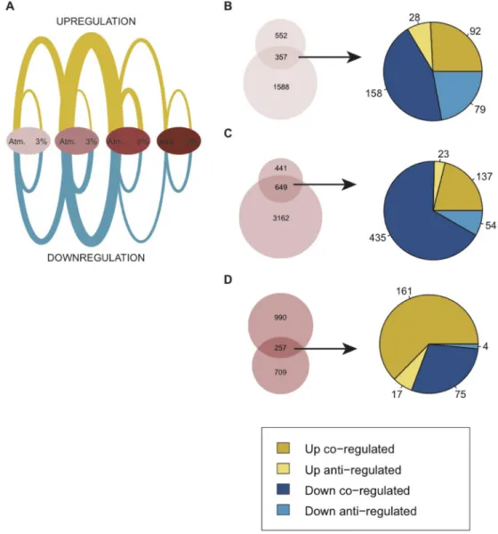 Figure 3: Comparison of differential gene expression due to moderate hypoxia (hDEGs) and differential gene  expression changes within the BJ cell model (DEGs)