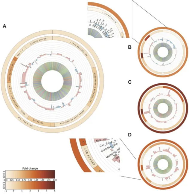 Figure 4: Metabolic profiling of differentially expressed genes at each stage of the BJ model
