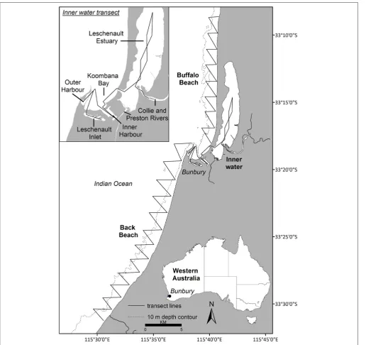 FIGURE 1 | The study site (Bunbury, Western Australia; area = 120 km2) was divided into three transects: Buffalo Beach, Back Beach and the Innerwater transect (see insert).