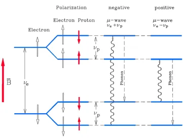 Figure 3: Schematic demonstration of the resolved solid-state effect [2]. 