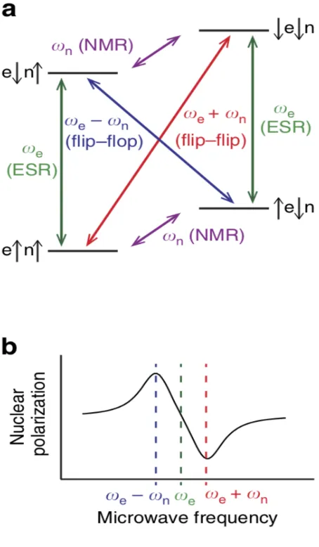 Figure 1: Energy level diagram for a dipolar-coupled electron spin-1/2 (e) and a nuclear spin-1/2 (n) system in a 