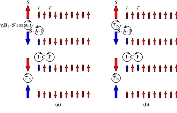 Figure 2:(a) Cartoon depicting the fundamental processes involved in DNP via the solid effect