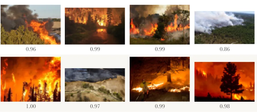 Figure 2. False positives, smoke and ﬁre 