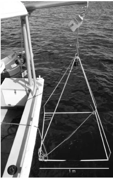 Fig. 2. The camera and frame developed in this study being deployed from a boat using a hoist and electrical winch
