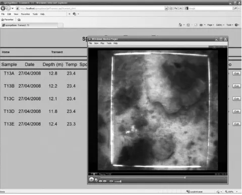 Fig. 3. A sample of the frame capture display on the web interface showing a list of samples retrieved from the database and a view of the benthic habitat video at sample site T13B, in the Western Gulf of Shark Bay, Western Australia