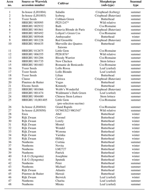 Table 1.  Lettuce accessions (accn) used in the summer and winter screens.  Accessions 4, 12 and 27 are from 