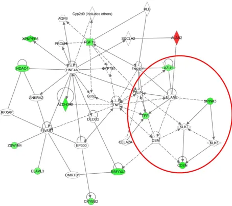 Figure 5. Graphical representation of genes within Cluster 4, Network 2, showing down-regulated expression across the 6 weektime course