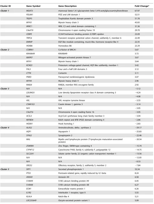 Table 2. Top 10 fold-changing genes from each expression cluster.