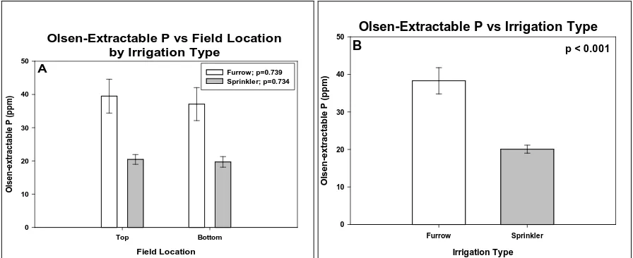 Figure 1.  Olsen-extractable phosphorus as affected by A) field location within furrow or sprinkler irrigation and by B) irrigation type