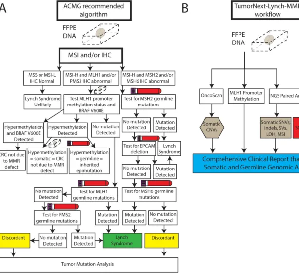 Figure 1:  (A) Representation of the suggested ACMG algorithm for Lynch syndrome testing