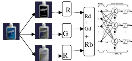 Fig. 9  :N.N in series with color & shape detection                                                         